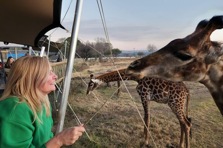 Best of Jozi Full Day Tour with a Joburg-born tourism lover! - Photo 1 of 13